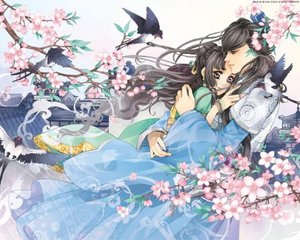 含羞草研究所轮滑入口